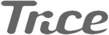 trice imaging - Top Medical Imaging Solution Companies trice imaging
